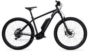 Approach Patrol Bike (APB) 29er eBike