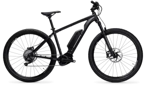 Approach Patrol Bike (APB) 29er eBike