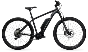 APB 29er eBikes from Volcanic Bikes